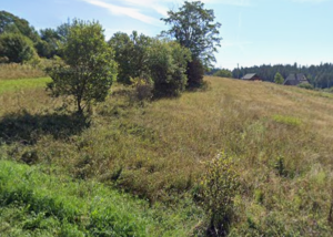 screenshot 2026 02 03 20.48.05